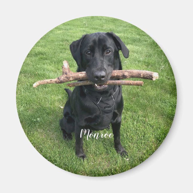 Dog Pet Personalized Name and Photo Holiday Magnet (Front)