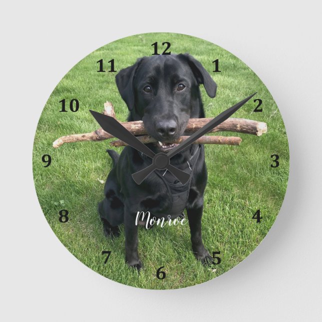 Dog Pet Personalized Name and Photo  Round Clock (Front)