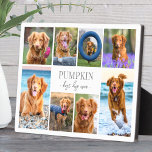 Dog Pet Photo Collage Plaque<br><div class="desc">Personalized "Best Dog Ever" Photo Plaque with Easel Stand. This simple and elegant photo plaque is a beautiful way to showcase cherished memories of your beloved dog. The design features space for a favourite photo, with room for their name on the first line and "Best Dog Ever" on the second...</div>