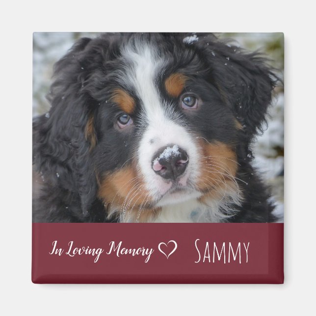 Dog Pet Photo Memorial - Pet Loss Sympathy Quote Magnet (Front)
