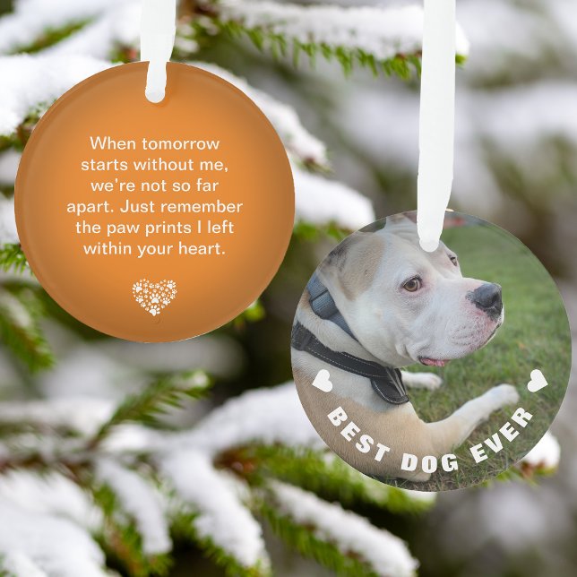 Dog Pet Poem Photo Orange Memorial Keepsake Ornament (Dog Pet Poem Photo Orange Memorial Keepsake Ornament)