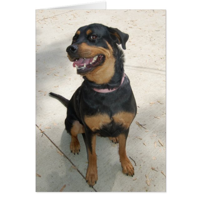 Dog Photo Card - Maya (Front)