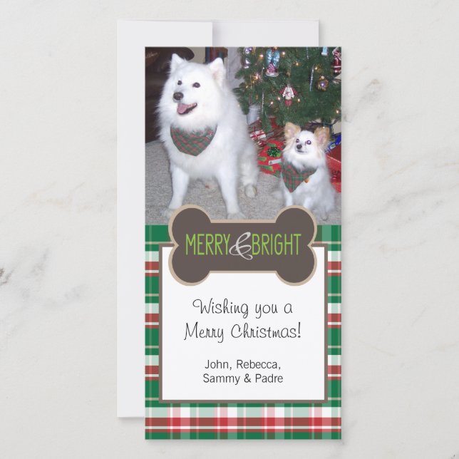 Dog Photo Christmas Greeting Holiday Card (Front)