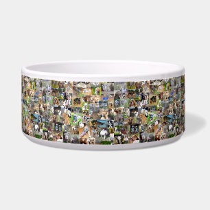 Dog Photo Collage,