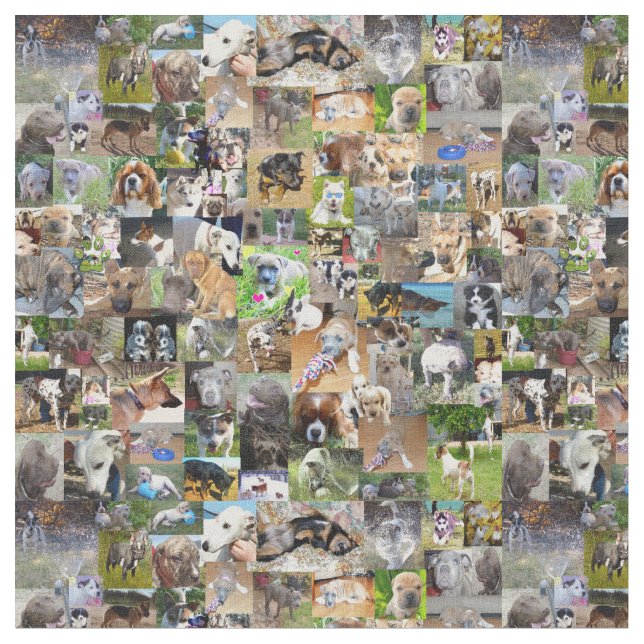 Dog Photo Collage, Fabric (Close Up)