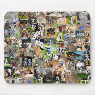 Dog Photo Collage, Mouse Pad