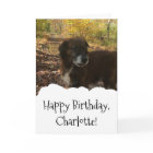 Dog Photo Custom Personalized Birthday