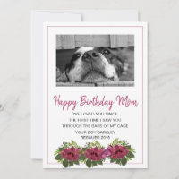 Dog Photo Happy Birthday Mom From Rescue Dog