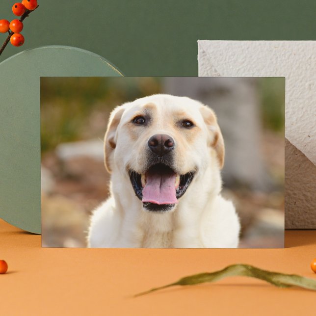 Dog Photo Holiday Postcard (Creator Uploaded)