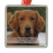 Dog Photo In Loving Memory Name Year Christmas
