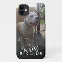 Dog Photo My Best Friend