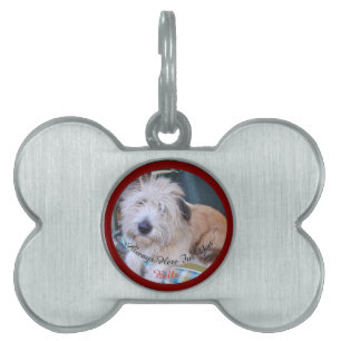 Dog Photo , Name and Text Replaceable  Pet ID Tag
