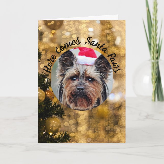 Dog Photo Personalize Name Christmas Holiday Card (Front)