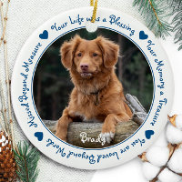 Dog Photo Pet Loss Pet Memorial