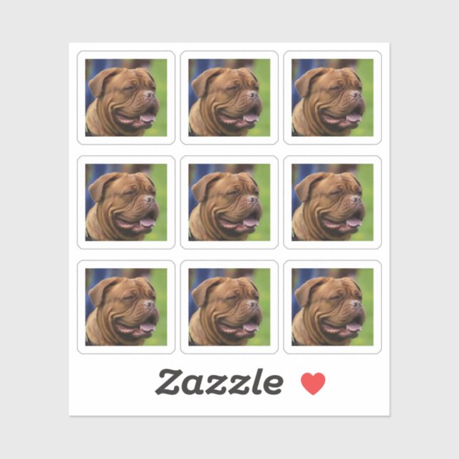 Dog Photo Portrait DIY (Sheet)