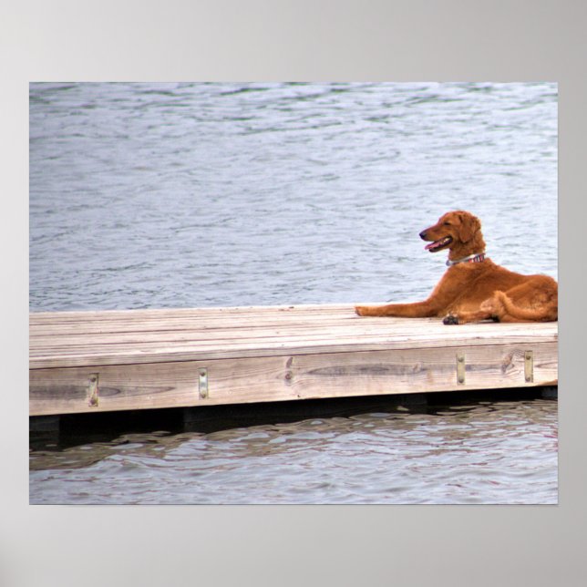 Dog Photo Poster (Front)