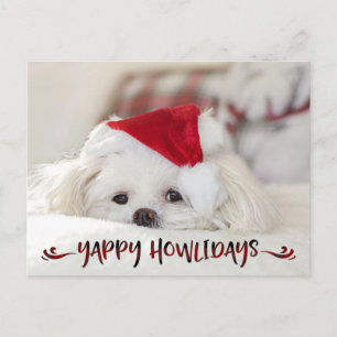 Dog Photo Red Buffalo Check Script YAPPY HOWLIDAYS Holiday Postcard