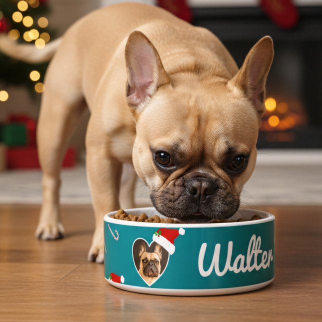 Dog Photo Santa Hat Teal Christmas Holiday Pet  Bowl (Just add your best friend's photo and name to this festive teal dog bowl)