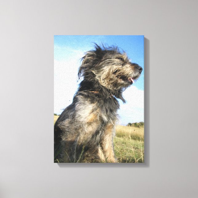 Dog Photo  Single Canvas Print (Front)