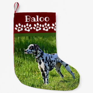 Dog Photo Small Christmas Stocking