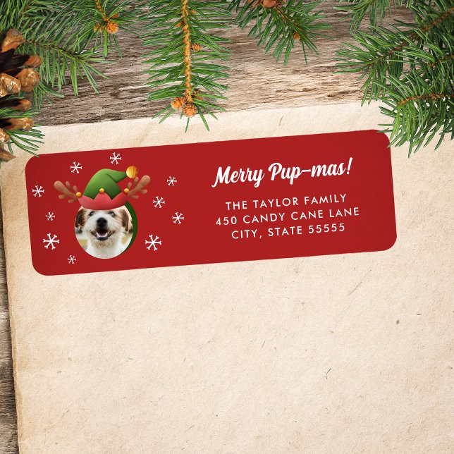 Dog Photo w/ Elf Reindeer Antler Hat Christmas (Creator Uploaded)