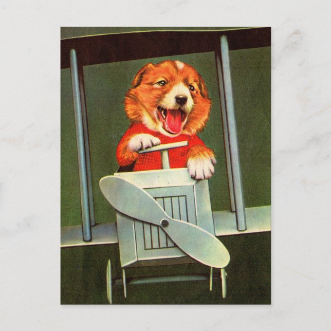 dog pilot postcard (Front)