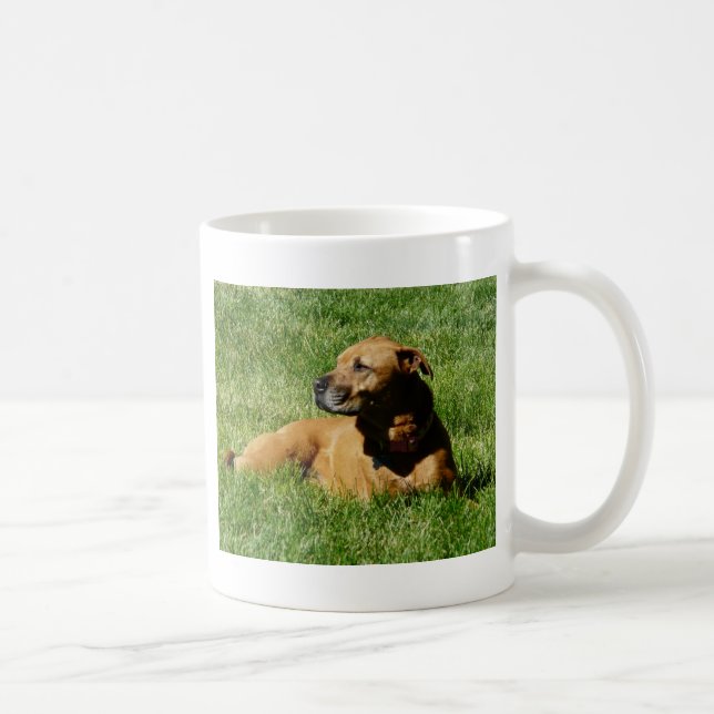 dog,pitbull/boxer mix coffee mug (Right)