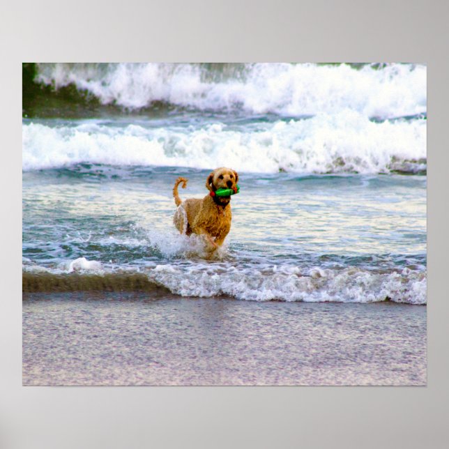 Dog Playing in Ocean Poster (Front)
