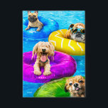 Dog Pool Party<br><div class="desc">Dive in! | Avanti,  the Global Humour Brand™ has been entertaining the world with its Feel Good Funny greeting cards for over 40 years. Our characters live life to the fullest and celebrate the humour in everyday life.</div>