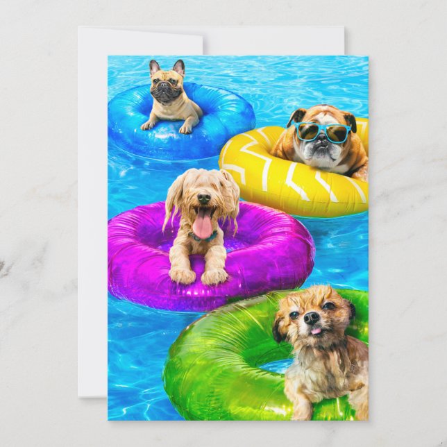 Dog Pool Party Invitation (Front)