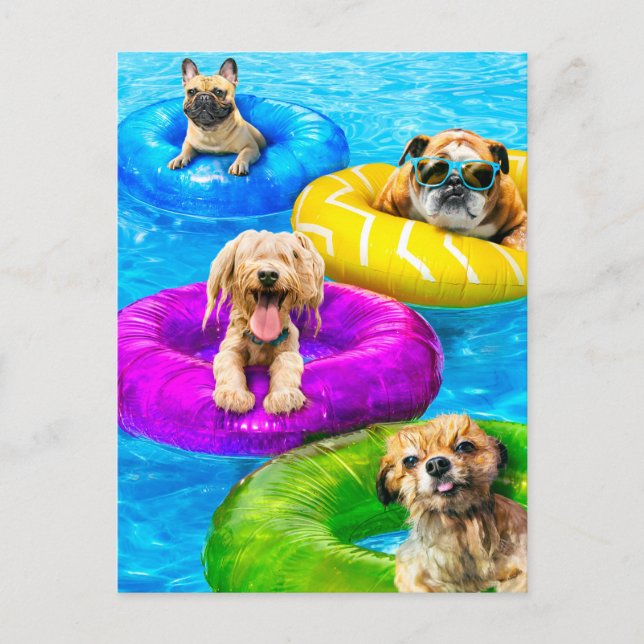 Dog Pool Party Postcard (Front)