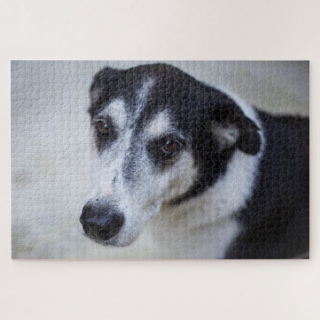 Dog Portrait Jigsaw Puzzle (Horizontal)