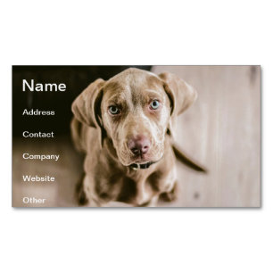 Dog portrait 	Magnetic business card