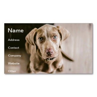 Dog portrait 	Magnetic business card