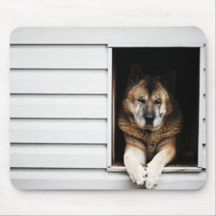 dog portrait mouse pad