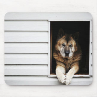 dog portrait mouse pad