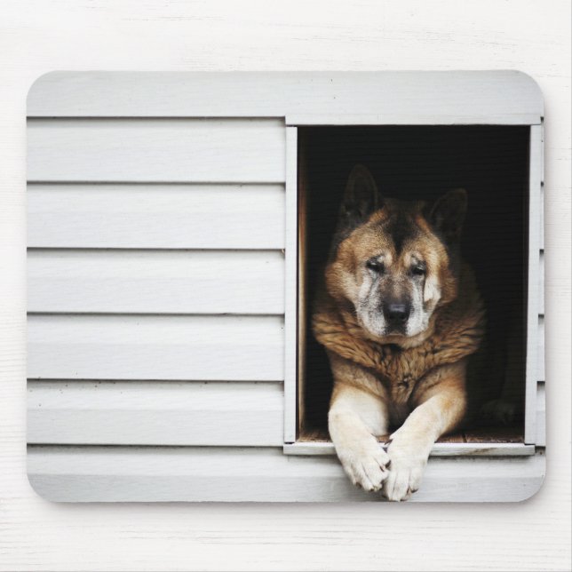 dog portrait mouse pad (Front)