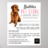 Dog Portrait, Pet Store & Groomers Advertising