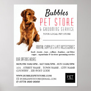 Dog Portrait, Pet Store & Groomers Advertising Poster