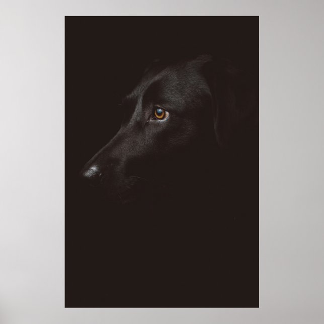 DOG PORTRAIT POSTER (Front)