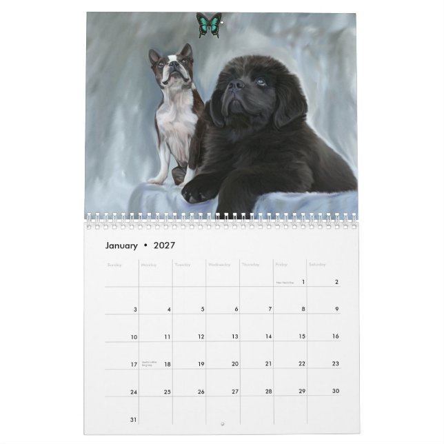 Dog Portraits Calendar (Jan 2027)