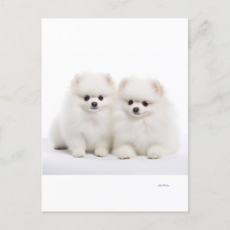 dog postcards