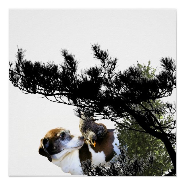 dog poster (Front)