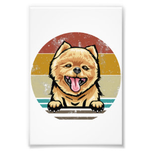 Dog Premium Satin Photo Paper Photo Enlargement Print