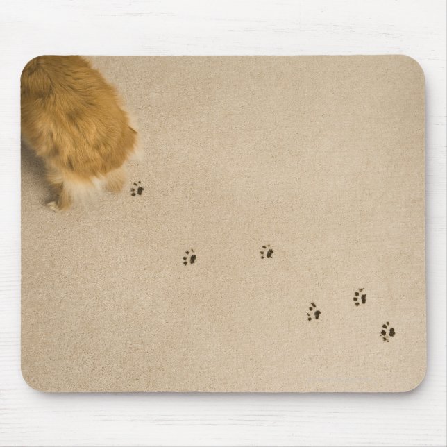 Dog Prints on Carpet Mouse Pad (Front)