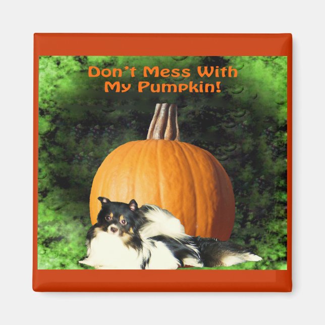 Dog Protecting Large Pumpkin Magnet (Front)
