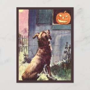 Dog & Pumpkin - Vintage Halloween Postcard