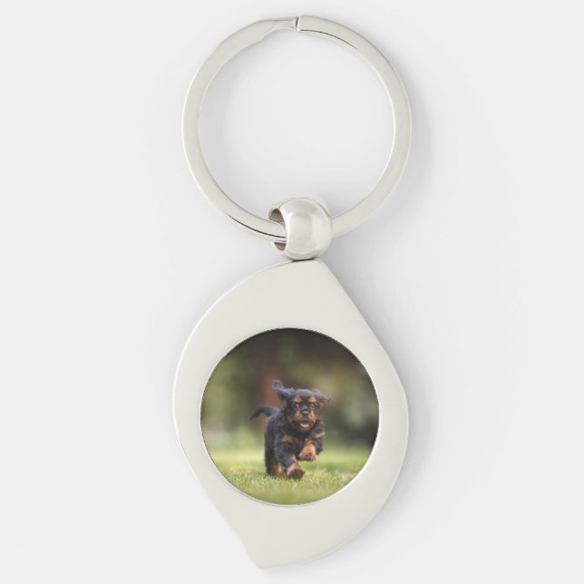 Dog, Puppy, Cavalier Keychain (Front)