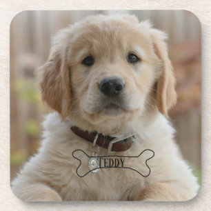 DOG PUPPY PHOTO NAME BONE BEST DOG MOM DAD TRENDY COASTER