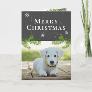 Dog Puppy Photo Pine Snowflakes Merry Christmas Holiday Card